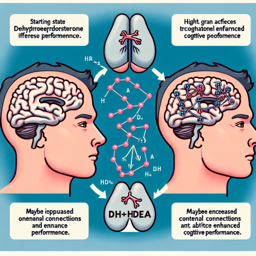 Wie Dehydroepiandrosteron die kognitive Leistungsfähigkeit beeinflusst